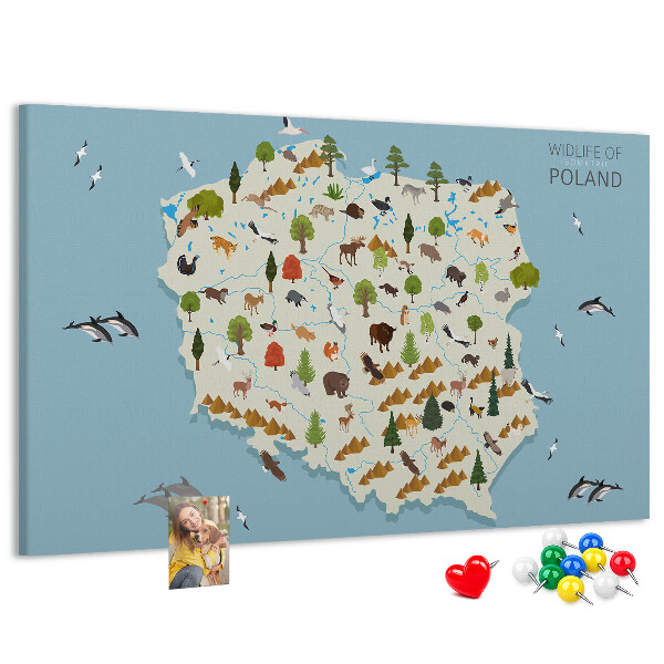 Korková nástenka na stenu Poľská fauna na farebnej mape