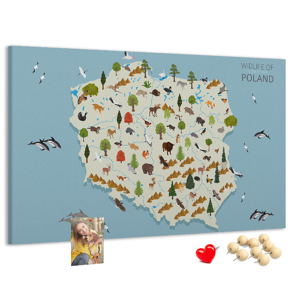 Korková nástenka na stenu Poľská fauna na farebnej mape