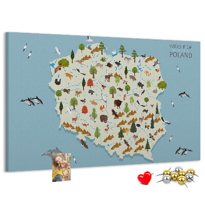 Korková nástenka na stenu Poľská fauna na farebnej mape