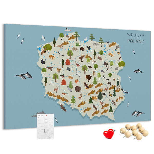 Korková nástenka na stenu Poľská fauna na farebnej mape