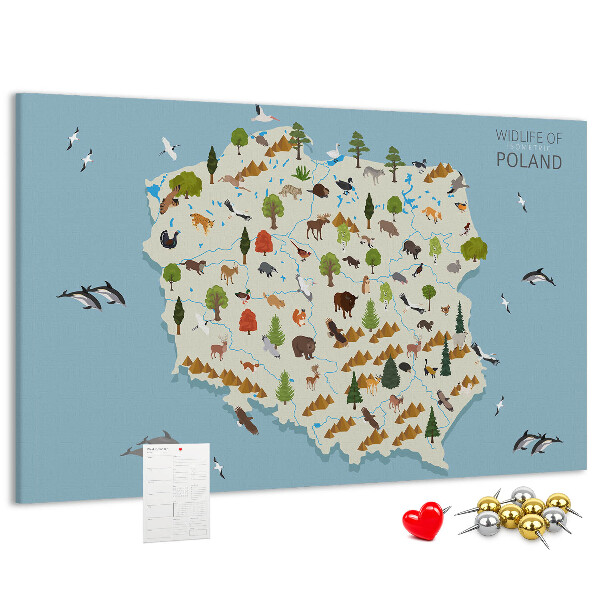 Korková nástenka na stenu Poľská fauna na farebnej mape