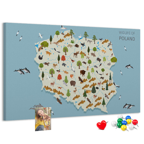 Korková nástenka na stenu Poľská fauna na farebnej mape
