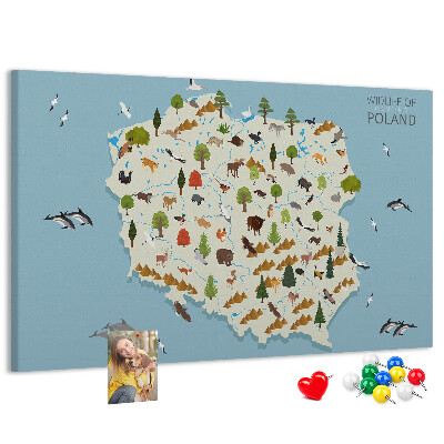 Korková nástenka na stenu Poľská fauna na farebnej mape