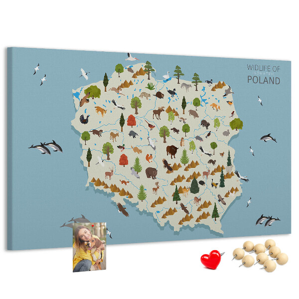 Korková nástenka na stenu Poľská fauna na farebnej mape