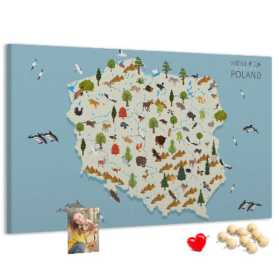 Korková nástenka na stenu Poľská fauna na farebnej mape