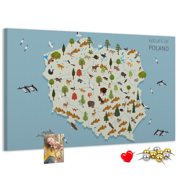 Korková nástenka na stenu Poľská fauna na farebnej mape