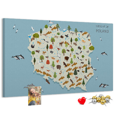Korková nástenka na stenu Poľská fauna na farebnej mape