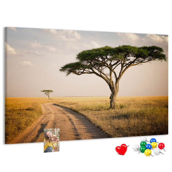 Nástenka Cesta cez africkú krajinu so stromom