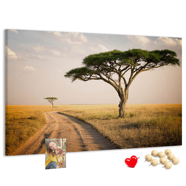 Nástenka Cesta cez africkú krajinu so stromom