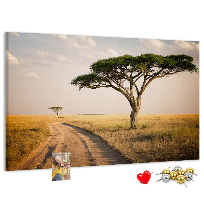 Nástenka Cesta cez africkú krajinu so stromom