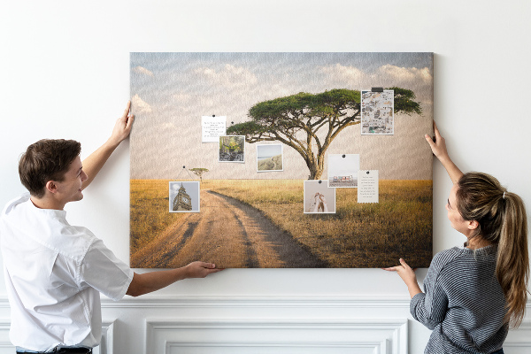 Nástenka Cesta cez africkú krajinu so stromom