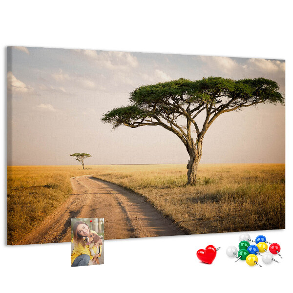 Nástenka Cesta cez africkú krajinu so stromom