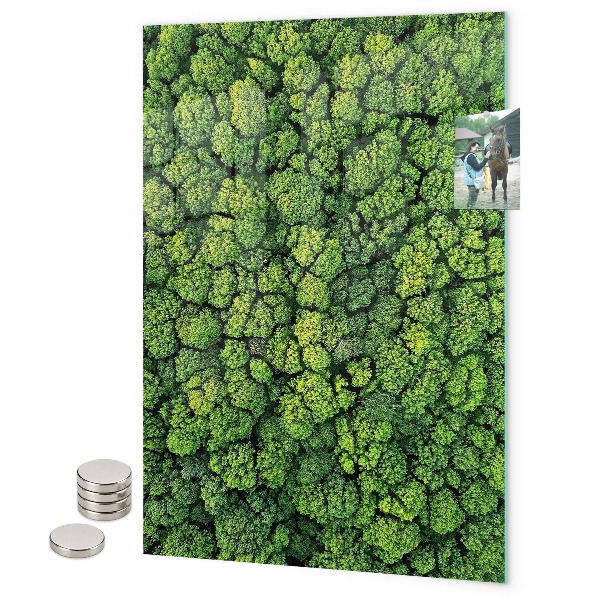 Magnetická tabuľa na magnetky Bazalka