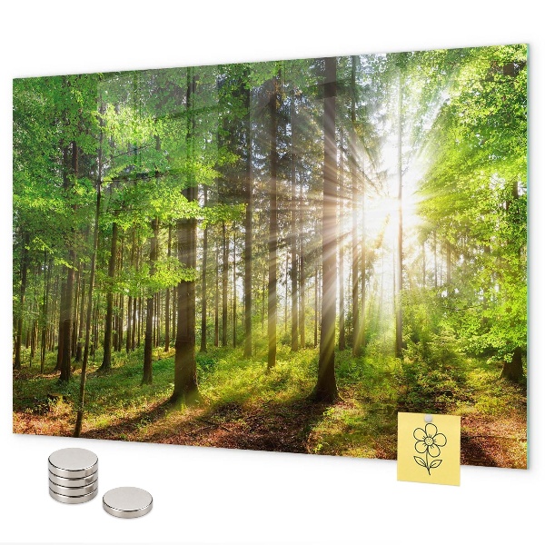 Magnetická tabuľa východ slnka v lese