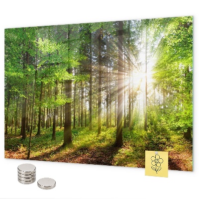Magnetická tabuľa východ slnka v lese