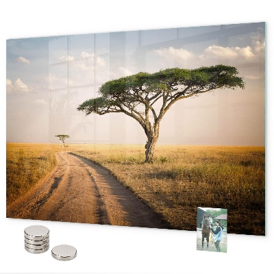 Magnetická tabuľa na stenu Africká krajina