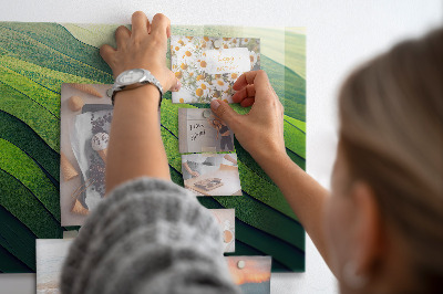 Magnetická tabuľa Abstraktné zelené polia
