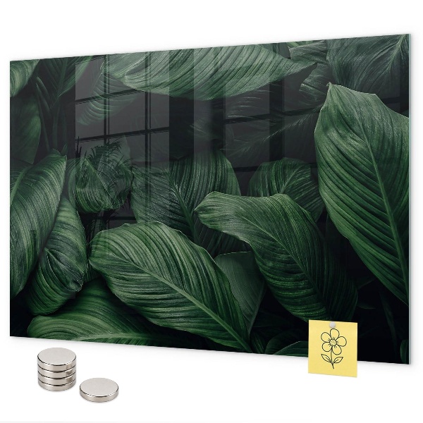 Magnetická tabuľa na stenu Tropická monstera