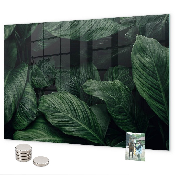 Magnetická tabuľa na stenu Tropická monstera