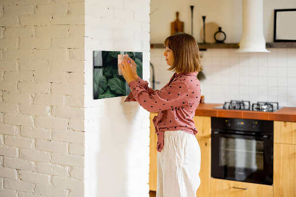 Magnetická tabuľa na stenu Tropická monstera