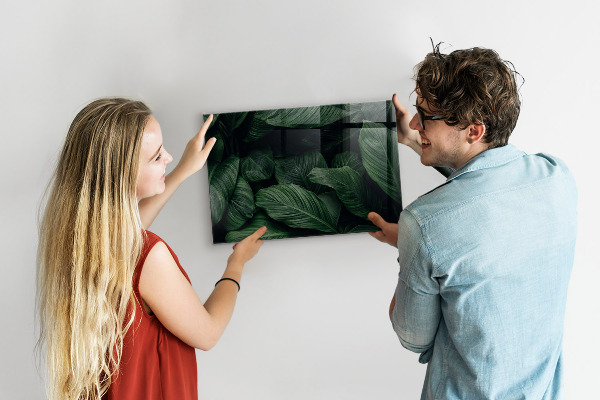 Magnetická tabuľa na stenu Tropická monstera