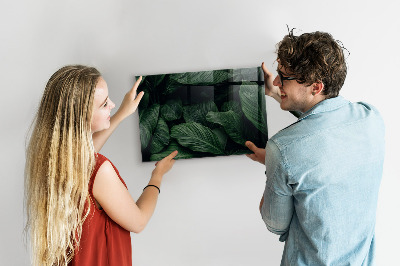 Magnetická tabuľa na stenu Tropická monstera