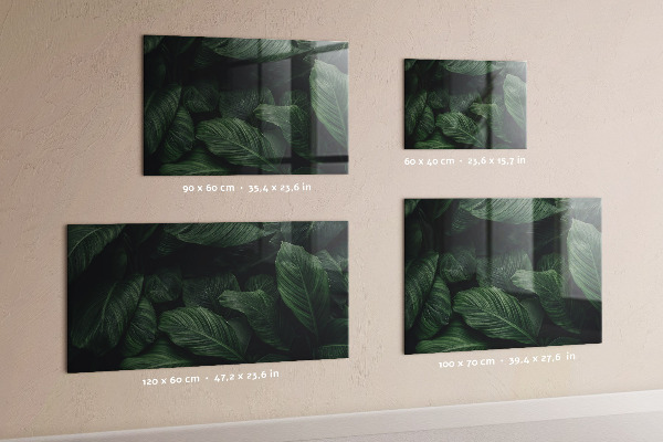 Magnetická tabuľa na stenu Tropická monstera