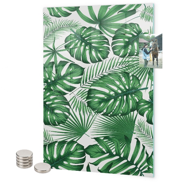 Magnetická tabuľa na magnetky Listy tropickej monstery