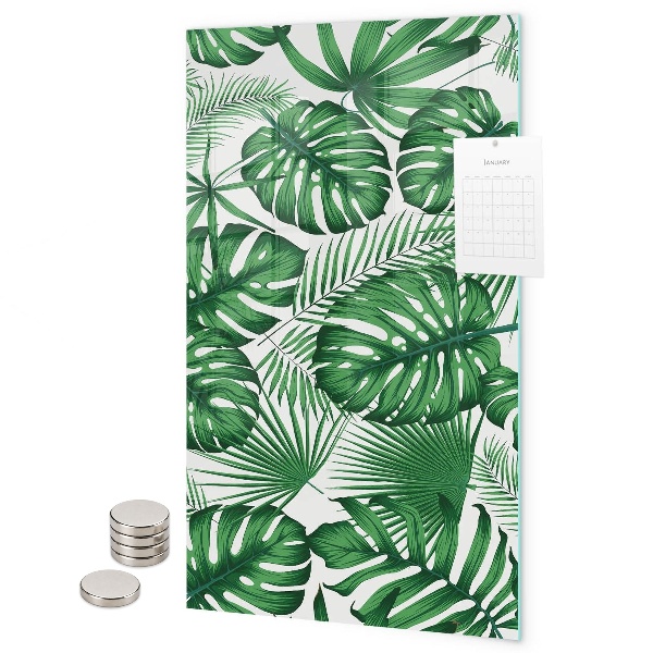 Magnetická tabuľa na magnetky Listy tropickej monstery
