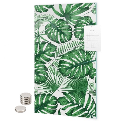 Magnetická tabuľa na magnetky Listy tropickej monstery