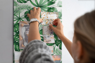 Magnetická tabuľa na magnetky Listy tropickej monstery