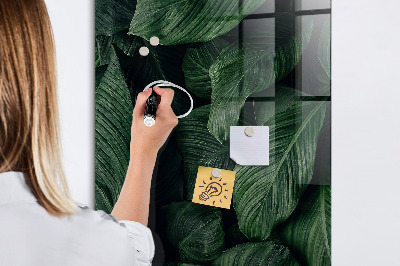 Magnetická popisovateľná tabuľa Zelená tabuľa na poznámky a fotografie