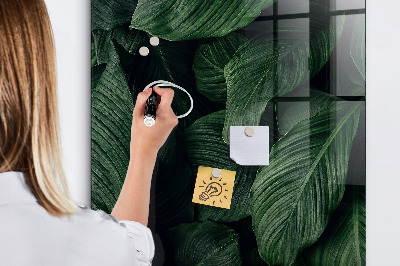 Magnetická popisovateľná tabuľa Zelená tabuľa na poznámky a fotografie