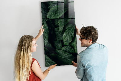 Magnetická popisovateľná tabuľa Zelená tabuľa na poznámky a fotografie