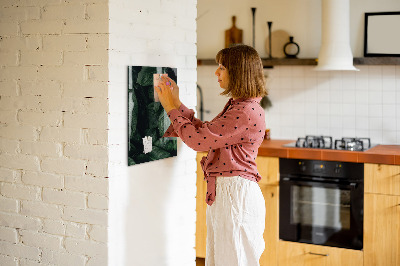Magnetická popisovateľná tabuľa Zelená tabuľa na poznámky a fotografie