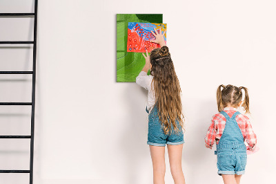 Magnetická popisovateľná tabuľa Zelená tabuľa na fotografie a poznámky
