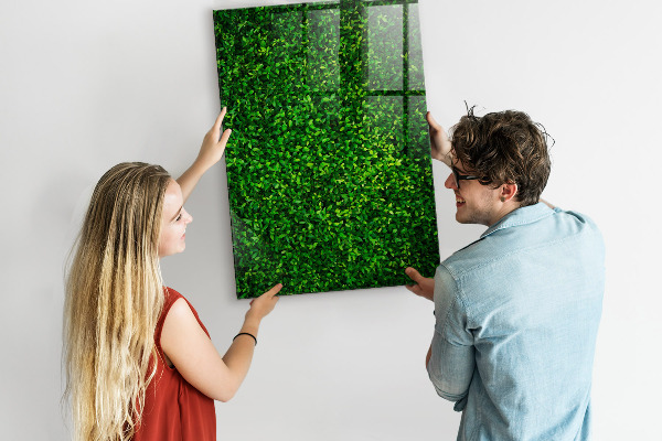 Kresliaca magnetická tabuľa Zelená nástenka s fotografiami