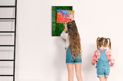 Kresliaca magnetická tabuľa Zelená nástenka s fotografiami