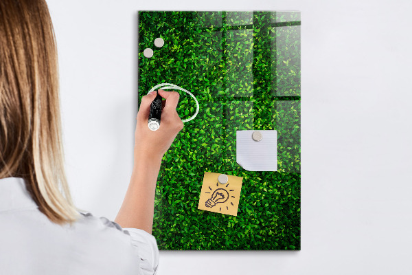 Kresliaca magnetická tabuľa Zelená nástenka s fotografiami