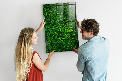 Kresliaca magnetická tabuľa Zelená nástenka s fotografiami