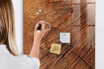 Magnetická popisovateľná tabuľa Nástenka s magnetmi a fotografiami