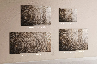 Kresliaca magnetická tabuľa Nástenka s magnetmi a fotografiami