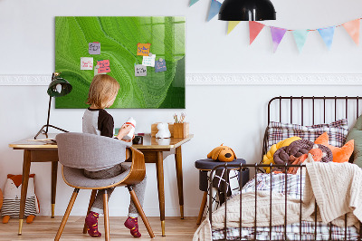 Magnetická popisovateľná tabuľa Zelená nástenka s fotografiami
