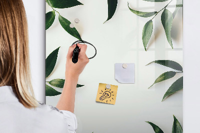 Magnetická popisovateľná tabuľa Zelená tabuľa na fotografie a poznámky