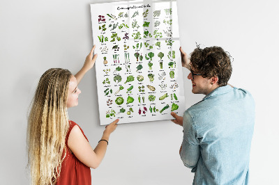 Magnetická popisovateľná tabuľa Zelená zelenina a bylinky v grafike