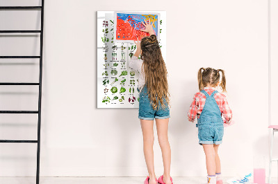 Magnetická popisovateľná tabuľa Zelená zelenina a bylinky v grafike