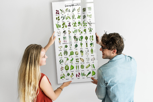Magnetická popisovateľná tabuľa Zelená zelenina a bylinky v grafike
