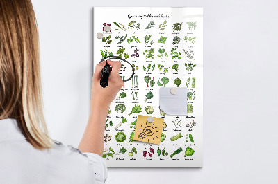 Magnetická popisovateľná tabuľa Zelená zelenina a bylinky v grafike