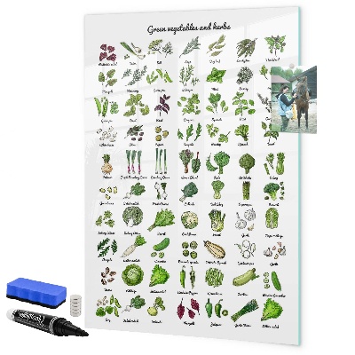 Magnetická popisovateľná tabuľa Zelená zelenina a bylinky v grafike