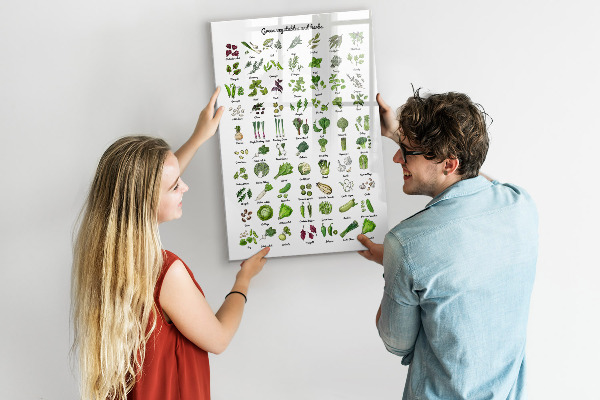 Magnetická popisovateľná tabuľa Zelená zelenina a bylinky v grafike